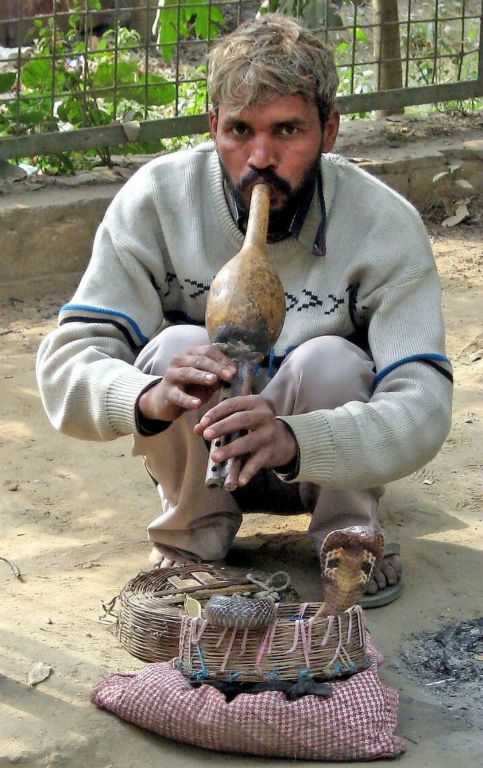 Yes; we did encounter many snake charmers ...